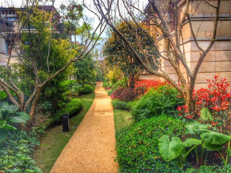 Road and Access Path Clearing