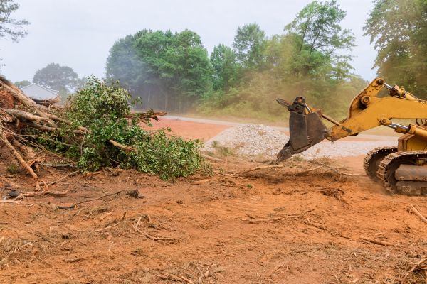 Ground Clearing in Dothan