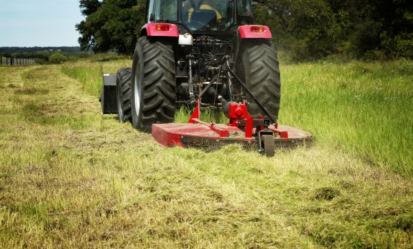 Brush Clearing Service in Dothan