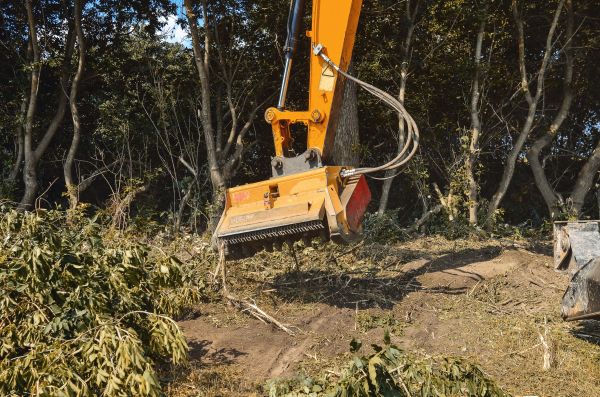 Brush Removal Service in Dothan