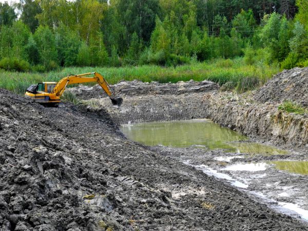 Cost of Lake Lot Clearing in Dothan