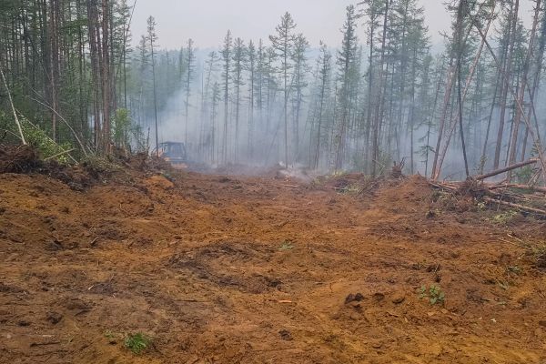Cost of Hill Clearing in Dothan