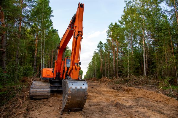Cost of Backhoe Land Clearing in Dothan